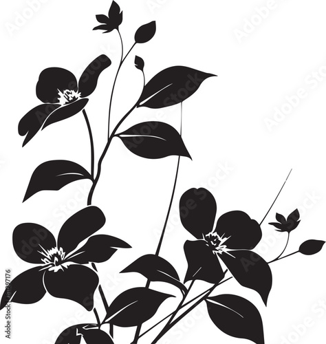 Flowers Black Silhouette 