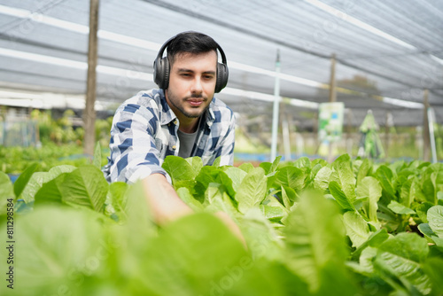 A farmer harvests veggies from a garden. organic fresh grown vegetables and farmers laboring in a vegetable garden.