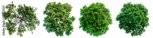 A set of trees with green leaves isolated on a white or transparent background. Close-up of trees from a bird's eye view, seen from above. Graphic design element on the theme of nature and trees. photo