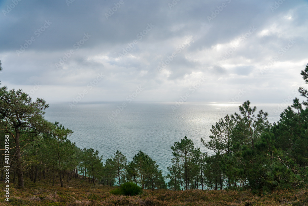 Obraz premium Pins maritimes bravant la mer d'Iroise, toile de fond de la presqu'île de Crozon, Bretagne. Un spectacle saisissant où nature et histoire se rejoignent.