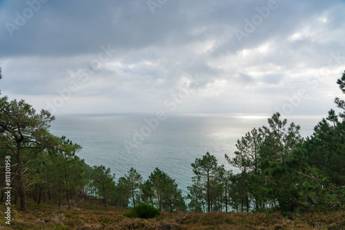 Pins maritimes bravant la mer d'Iroise, toile de fond de la presqu'île de Crozon, Bretagne. Un spectacle saisissant où nature et histoire se rejoignent. photo