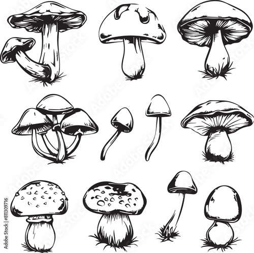 Mushrooms icon set black silhouettes 