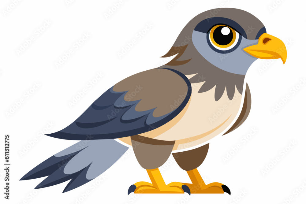 goshawk cartoon vector illustration goshawk cartoon vector illustration