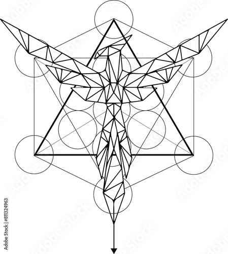 Outline black and white celestial phoenix 