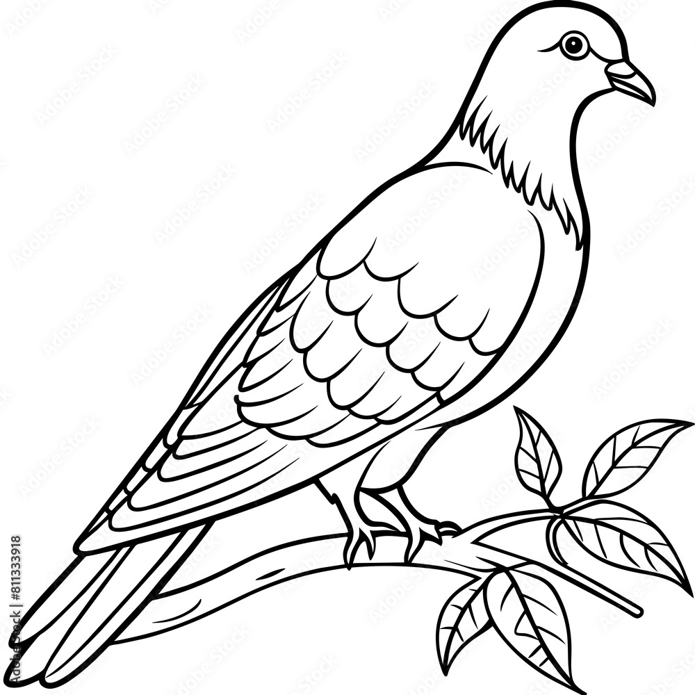 line art of a pigeon, white background