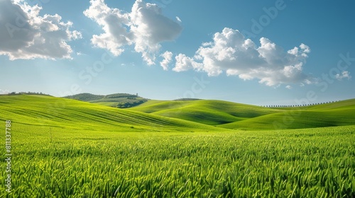 Field of Green Grass Under Blue Sky