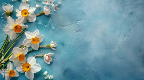 A mix of daffodils and crocuses interwoven on a soft cerulean canvas  leaving space for text.