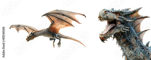 Close up and flying dragon set in full body, Isolated on Transparent Background, PNG