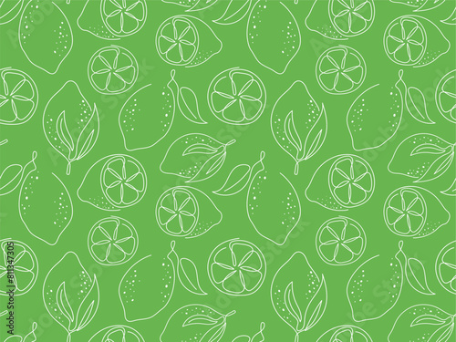 Citrus doodle seamless pattern. White outline of lime on a green background. Sketch fresh fruit slices illustration. Ornament for packaging, cover, wallpaper