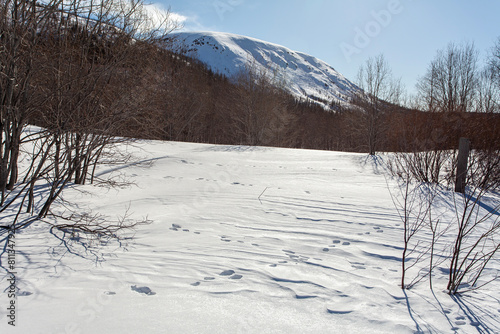 Hibiny, melting snow, spring sun, icicles, roads, Kirovsk photo