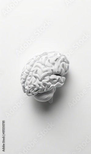 A white brain is shown on a surface.