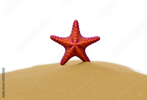 A starfish on a sandy beach
