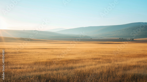 Golden hour over vast wheat fields 