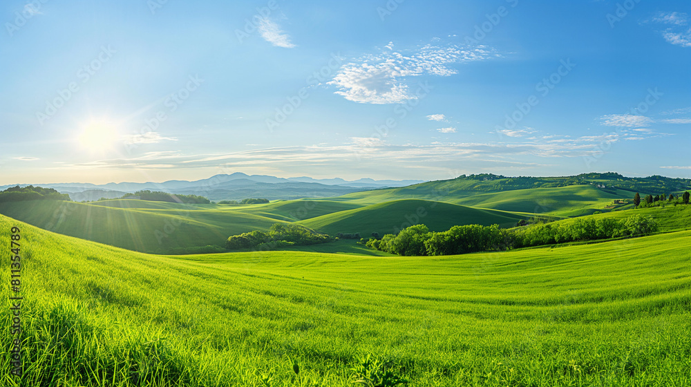 Lush green hills under a bright sunny sky, expansive and vibrant rural landscape