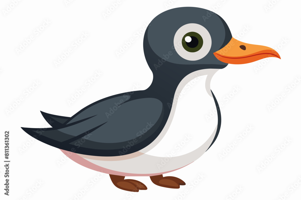 guillemot cartoon vector illustration guillemot cartoon vector illustration