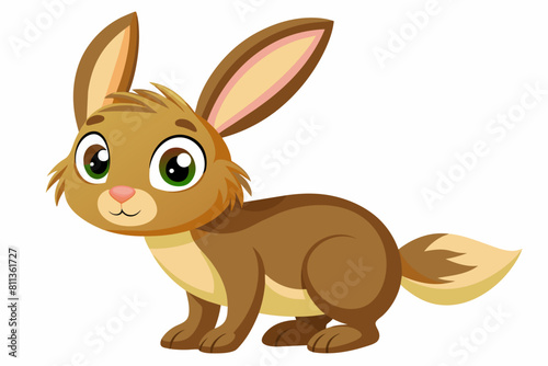 hare cartoon vector illustration