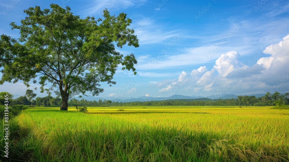 Tourists from all corners of the globe make it a point to pause and admire the stunning vista at this scenic spot graced by a rich tapestry of trees grasslands and rice fields swaying in th Tourists from all corners of the globe make it a point to pause and admire the stunning vista at this scenic spot graced by a rich tapestry of trees grasslands and rice fields swaying in th