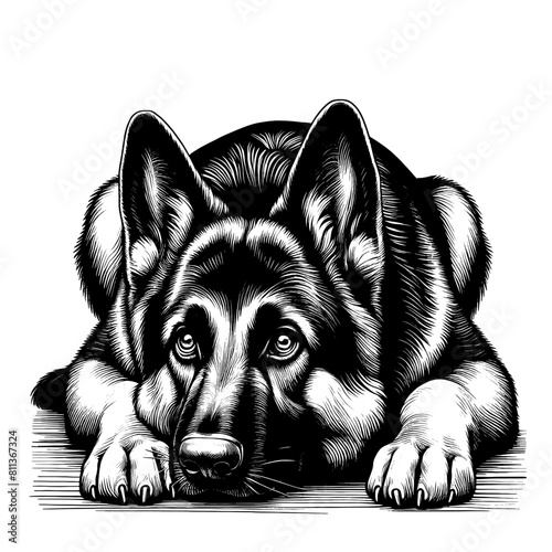 Cute German Shepherd in full-body, hand drawn sketch. Vector isolated on white background