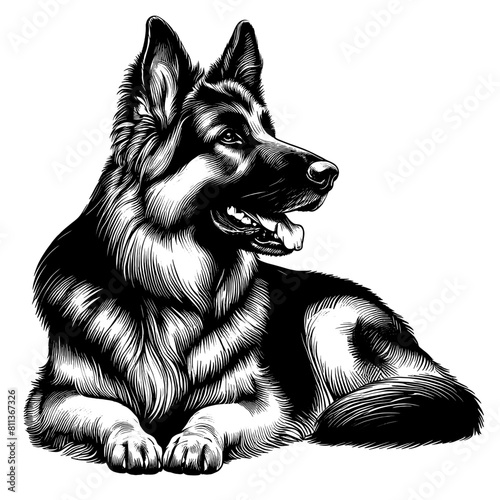 Cute German Shepherd in full-body, hand drawn sketch. Vector isolated on white background	