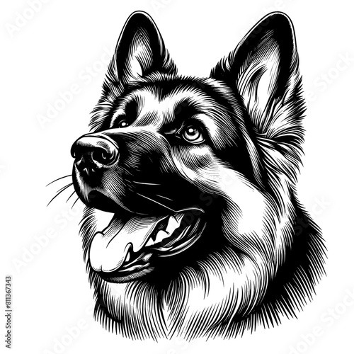 Cute German Shepherd portrait, hand drawn sketch. Vector isolated on white background	