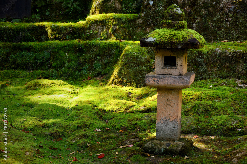 An old stone lantern placed in a moss-covered Japanese garden An old stone lantern placed in a moss-covered Japanese garden