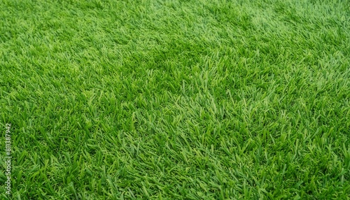 green grass background