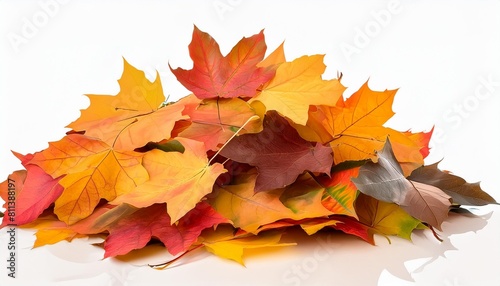 a pile of autumn colorful leaves isolated on a transparent or white background png