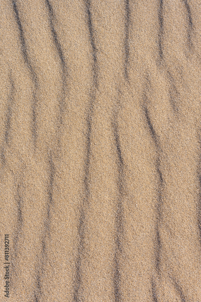 Clean golden sand windblown into curved ripples, as a tropical nature beach background
Clean golden sand windblown into curved ripples, as a tropical nature beach background