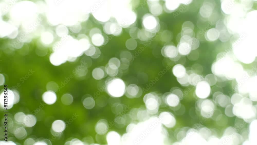 green bokeh background green bokeh background
