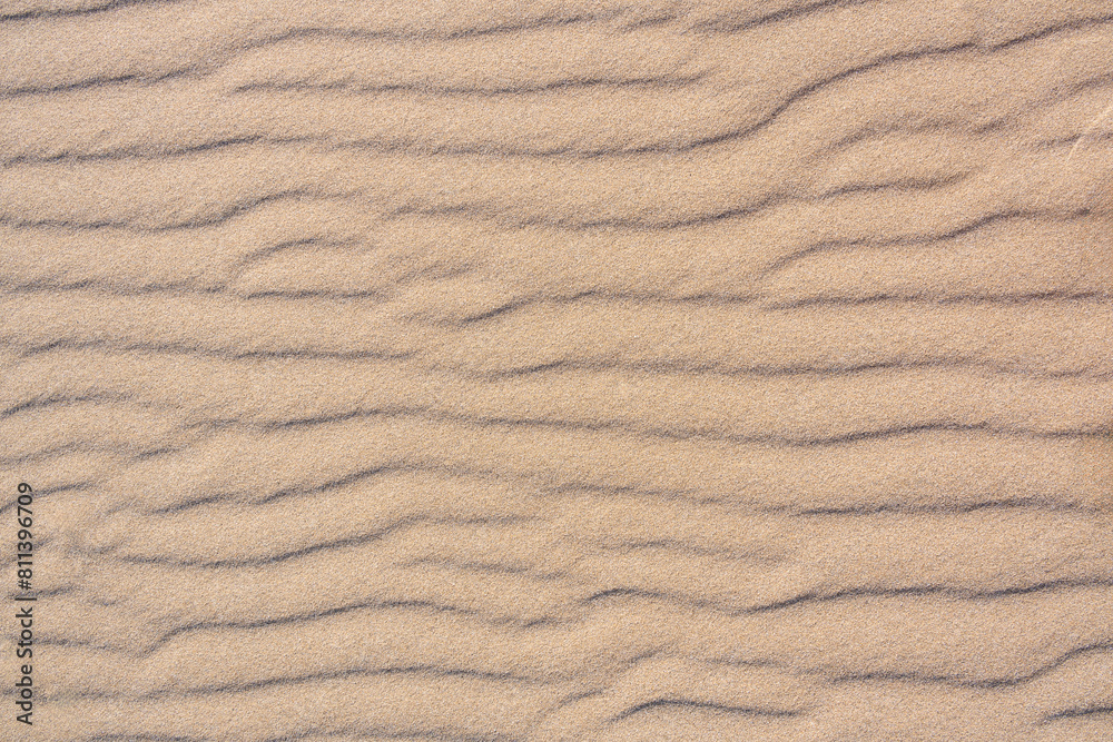 Clean golden sand windblown into curved ripples, as a tropical nature beach background
Clean golden sand windblown into curved ripples, as a tropical nature beach background