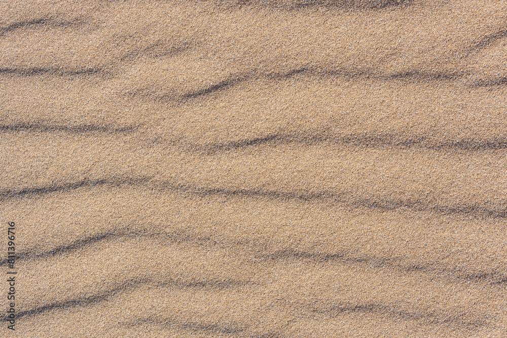 Clean golden sand windblown into curved ripples, as a tropical nature beach background
Clean golden sand windblown into curved ripples, as a tropical nature beach background