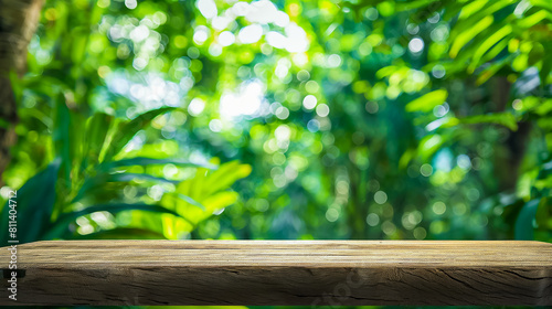 Natural Wooden Platform in a Lush Tropical Garden with Sunlight Filtering Through the Foliage