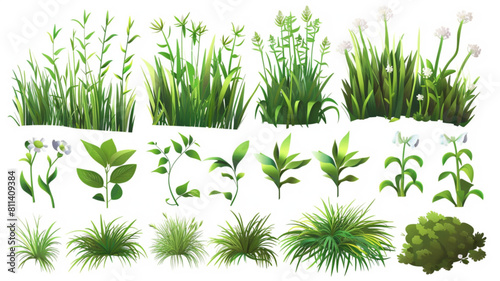 Green grass. Cartoon field, lawn, meadow plants, herbs and flowers. Fresh natural herbal and grasses border. Summer and springs garden floral objects with wild blossom 3D