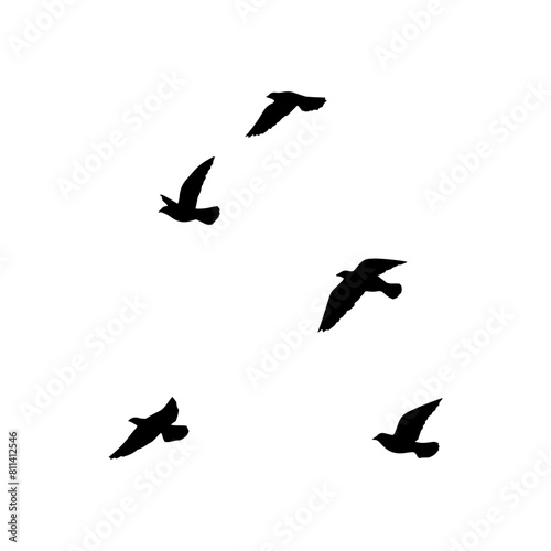 Bird sillhouette background in the sky. Flying birds silhouettes on white background. Vector illustration. isolated bird flying.