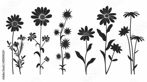 Silhouette daisy flower. Simple shape chamomile, black silhouette flowers. Floral graphic design element
