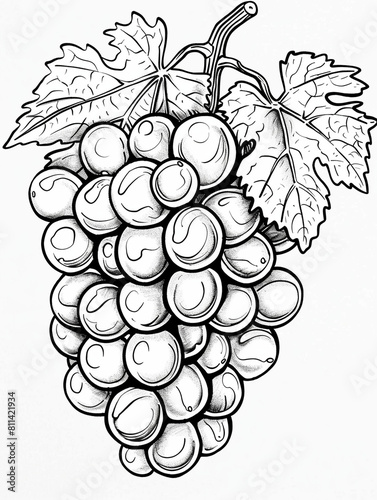 Detailed black and white illustration of grape clusters.
