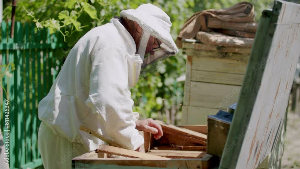 Rhythmic buzzing bees beekeepers distinctive attire meticulously harvest honey from hive. Apiary productivity humans beekeepers bees nature's golden treasure beekeepers apiary honey. Rhythmic buzzing bees beekeepers distinctive attire meticulously harvest honey from hive. Apiary productivity humans beekeepers bees nature's golden treasure beekeepers apiary honey.