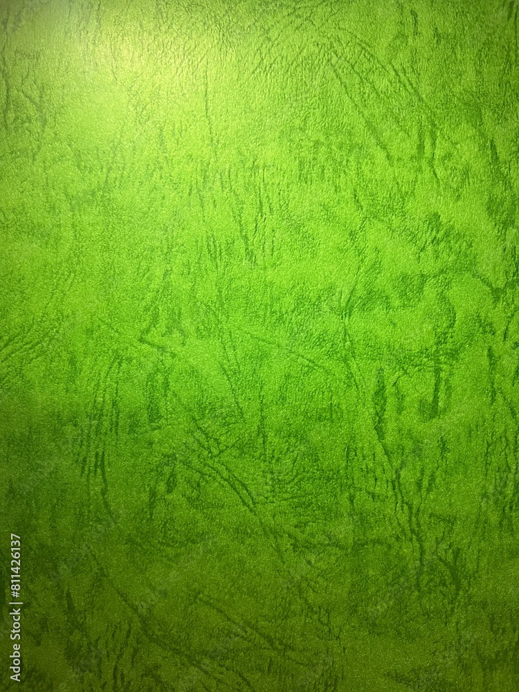 Fototapeta premium green wall texture