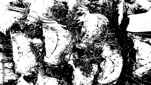 8-66. Wood Surface Texture Effect - Illustration Old Wood Black and White Vector Texture.	