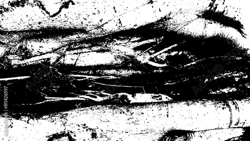 8-65. Tree bark texture effect - illustration. Black and white vector texture with scratch background.