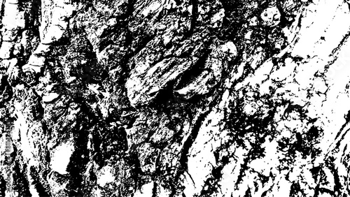 8-1. Tree bark texture effect - illustration. Black and white vector texture with scratch background.