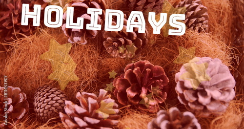 Pine cones resting on orange fibers, with HOLIDAYS text overlaying