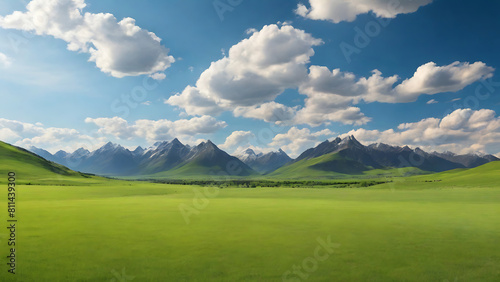 Panoramic natural landscape with green grass field blue sky, landscape 