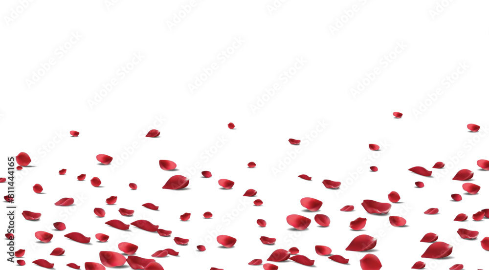 Floating red rose petal isolated on white. Background concept for love greetings on valentines day and mothers day. Space for text. rose for love Beautiful floral