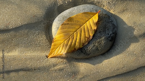 A single leaf resting on a smooth, flat stone, surrounded by the soft, uniform texture of sand, creating a study in simplicity and natural beauty