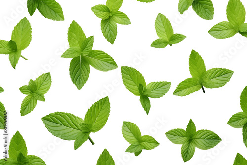 Lush green mint leaves form a captivating pattern, isolated on white background or png transparent background.