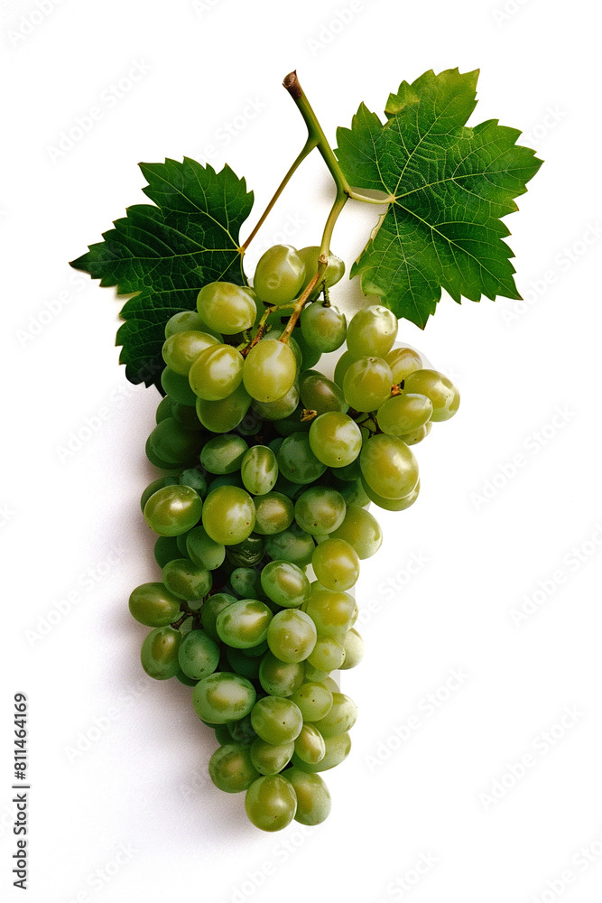 Obraz premium bunch of green grapes, transparant background, PNG file