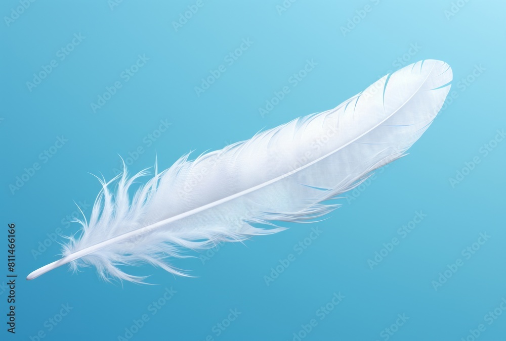 A white feather circles in a blue sky, its spiritualcore, accurate bird specimens, and delicate shading apparent. A white feather circles in a blue sky, its spiritualcore, accurate bird specimens, and delicate shading apparent.