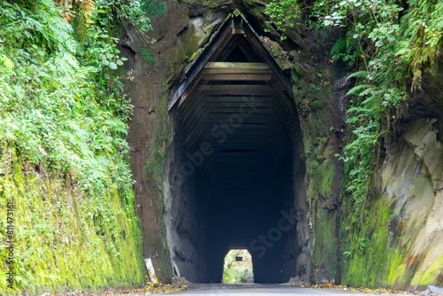 Moki Tunnel - New Zealand photo