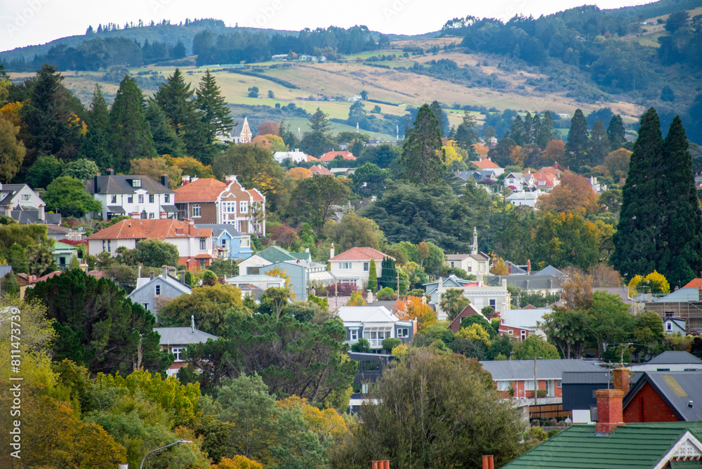 Fototapeta premium Residential Houses in Dunedin - New Zealand